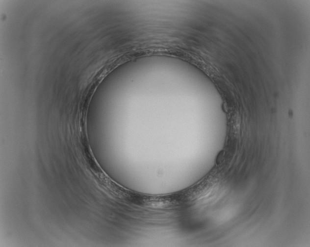 X0000062620746200512210912