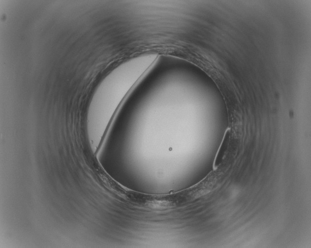 X0000062620748200512210912