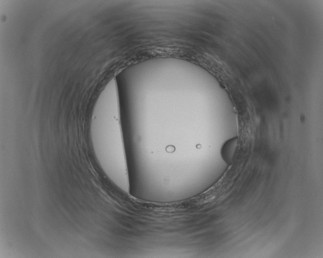 X0000062620749200512210912