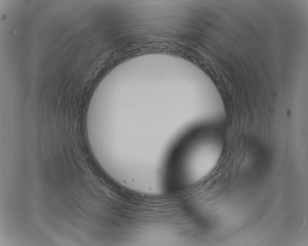 X0000062620750200512210912