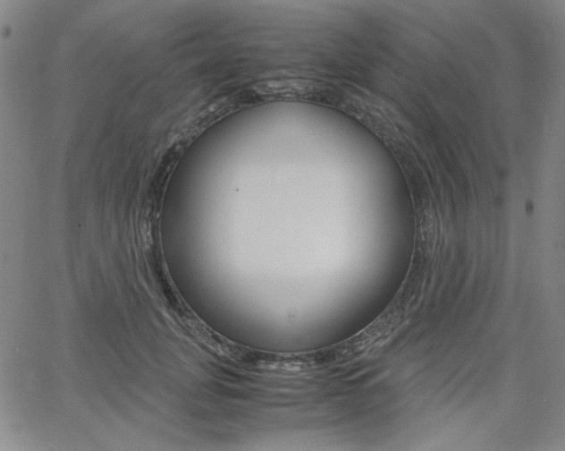 X0000062620751200512210912