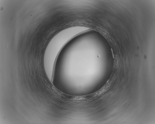 X0000062620762200512210912