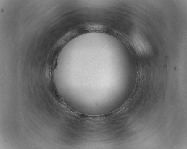 X0000062620763200512210912