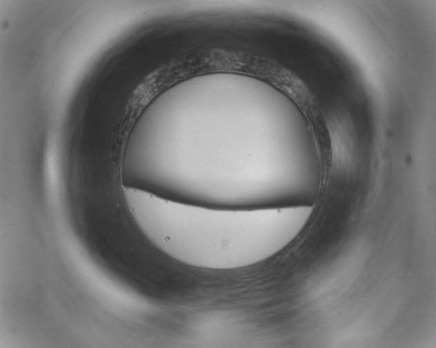 X0000062620765200512210912