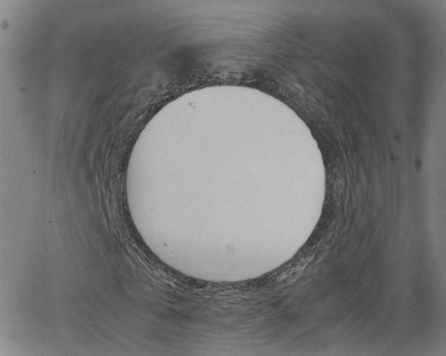 X0000062620769200512210911