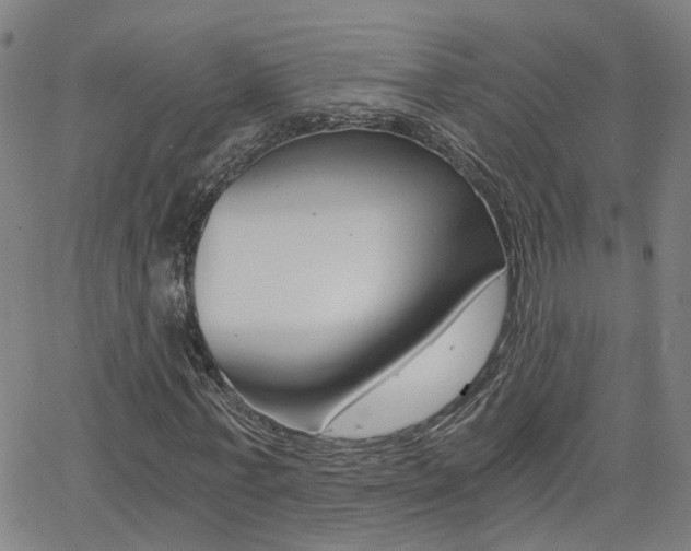 X0000062620771200512210911