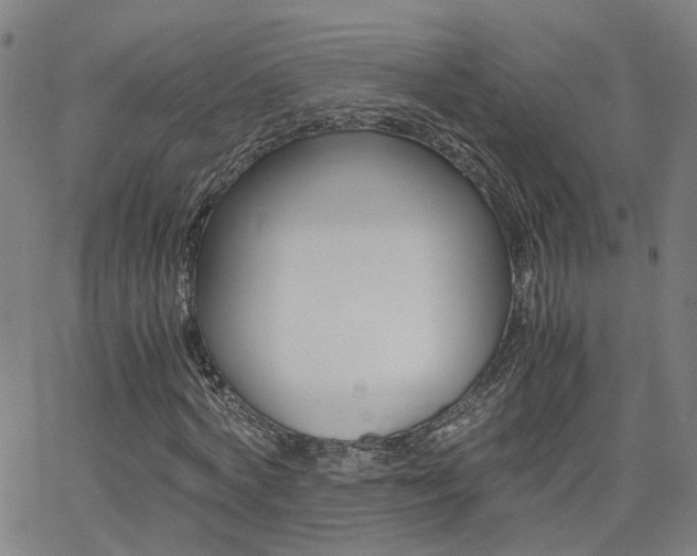 X0000062620772200512210911