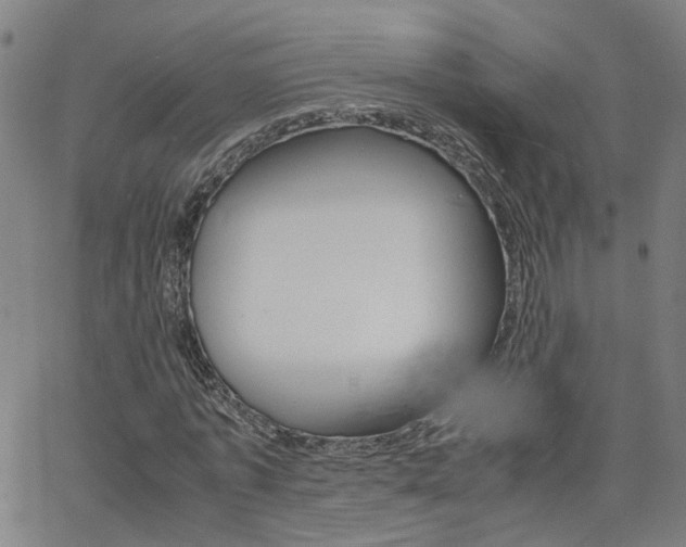 X0000062620773200512210911