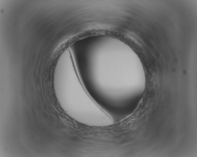 X0000062620775200512210911