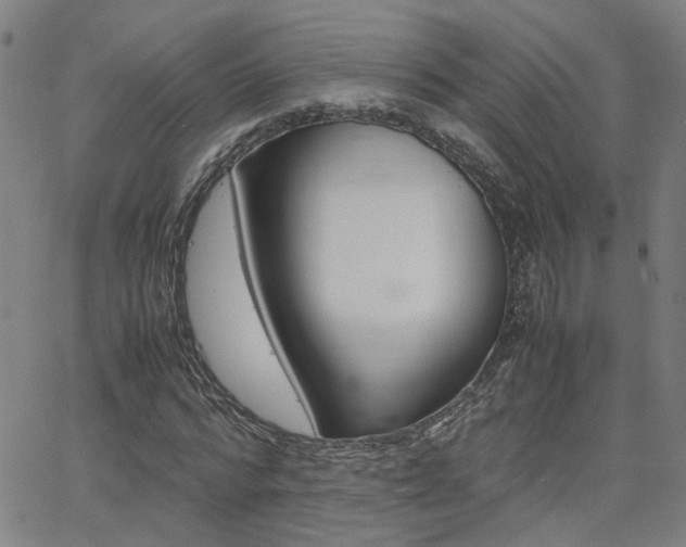 X0000062620776200512210911