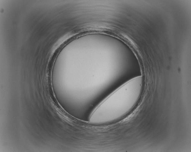 X0000062620779200512210911
