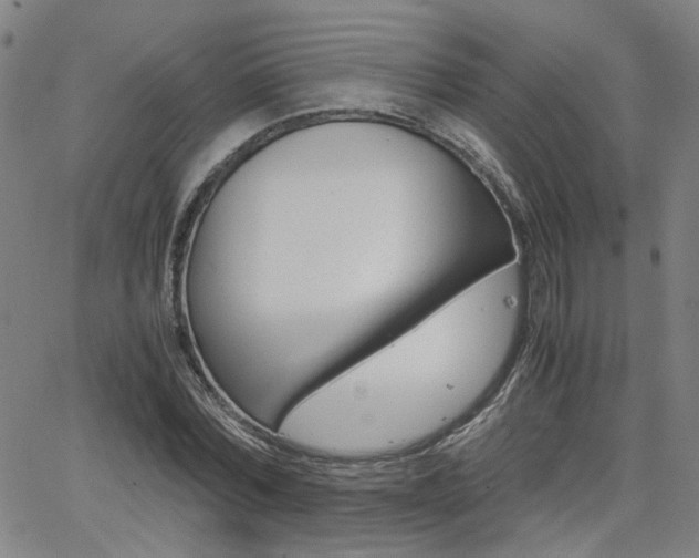 X0000062620780200512210911