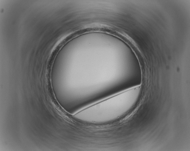 X0000062620783200512210911