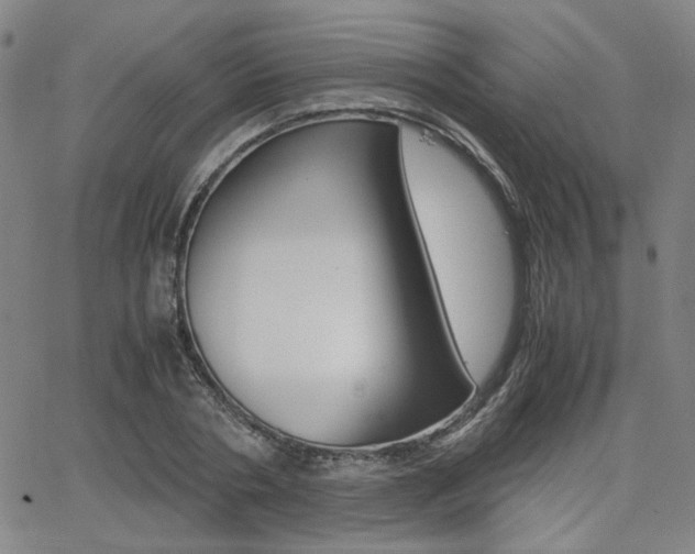 X0000062620786200512210911
