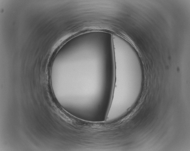 X0000062620787200512210911