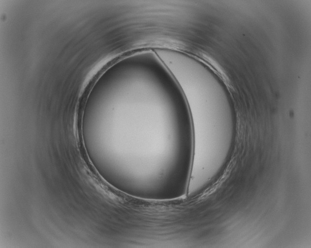 X0000062620788200512210911