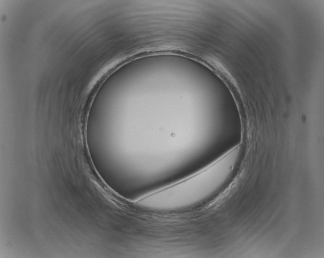 X0000062620789200512210911