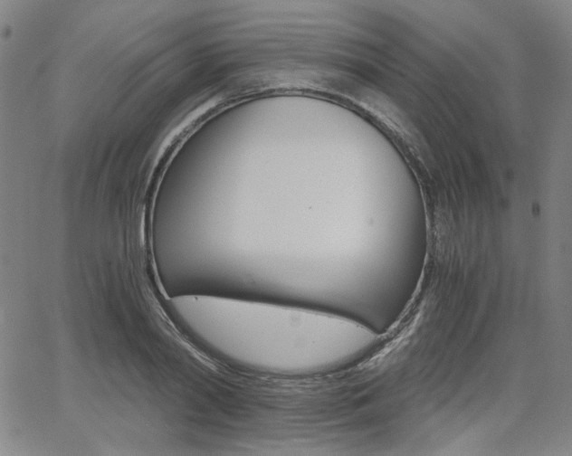 X0000062620790200512210911