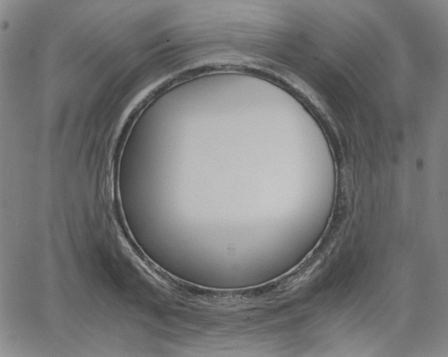 X0000062620791200512210911