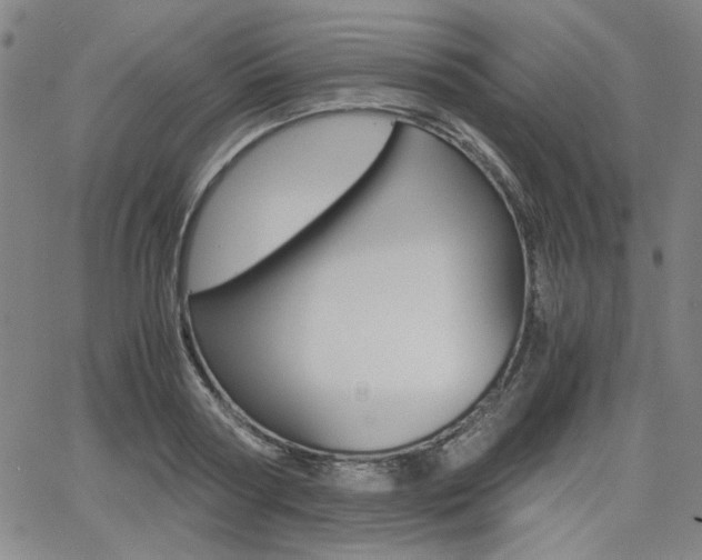 X0000062620794200512210911