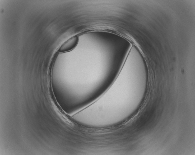 X0000062620795200512210911