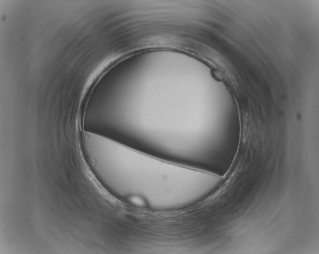 X0000062620796200512210911