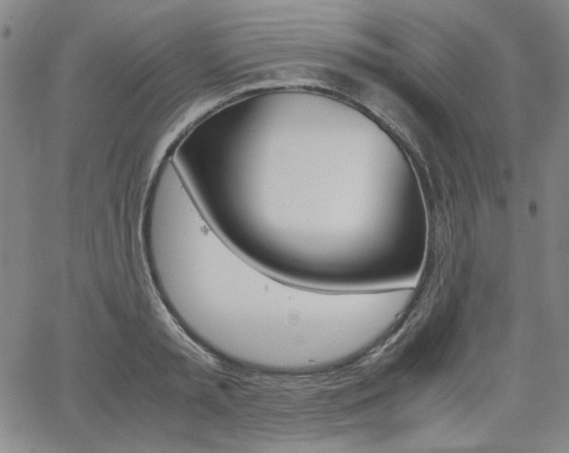 X0000062620797200512210911