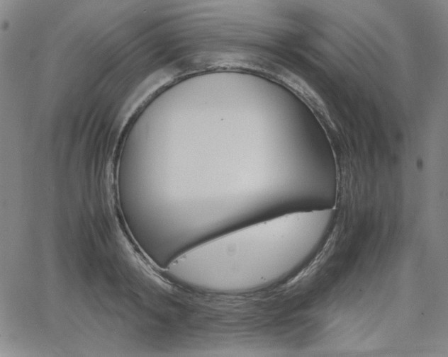 X0000062620798200512210911