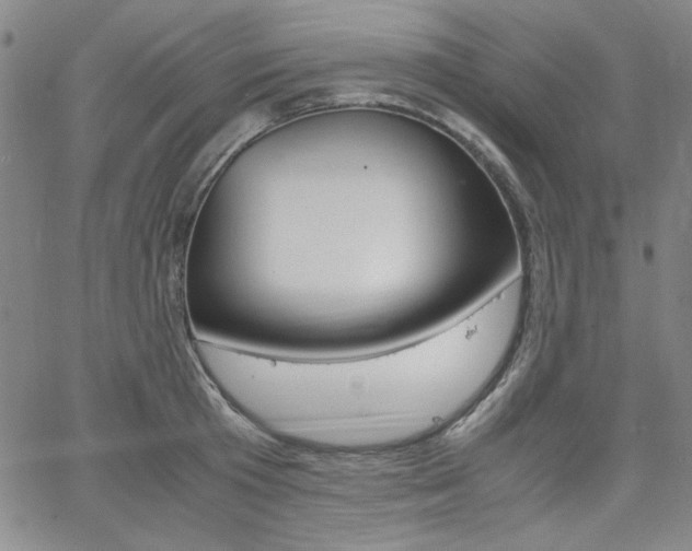 X0000062620801200512210911