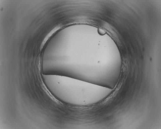 X0000062620804200512210911