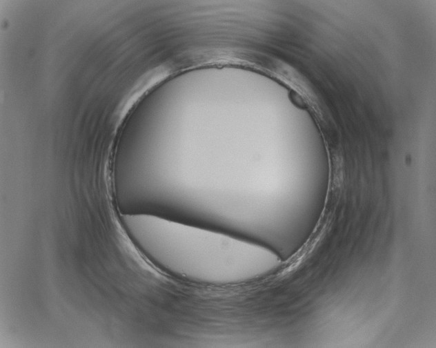 X0000062620806200512210911