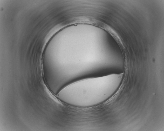 X0000062620808200512210910
