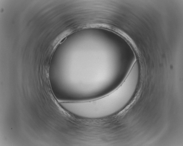 X0000062620809200512210910