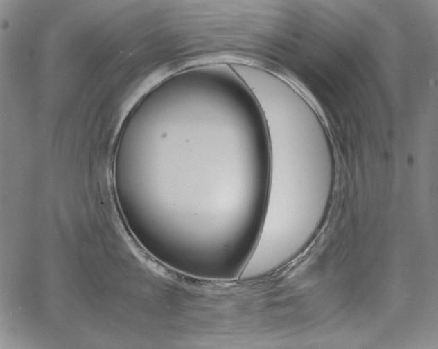 X0000062620813200512210910