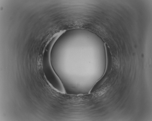 X0000062620818200512210910