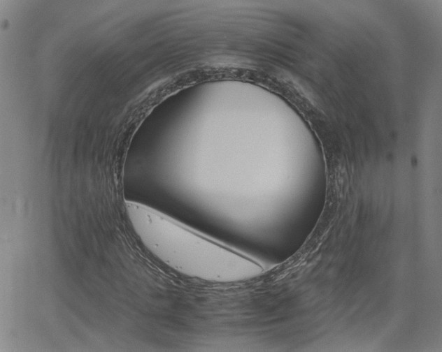 X0000062620821200512210910