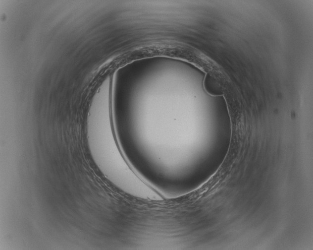 X0000062620822200512210910