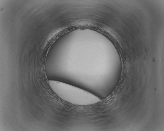 X0000062620823200512210910