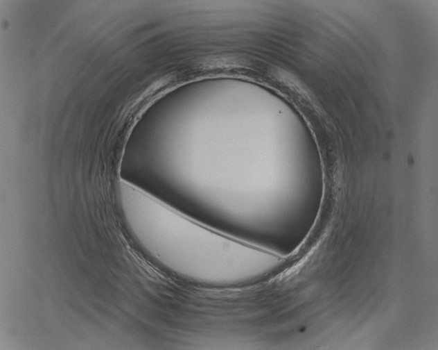 X0000062620825200512210910