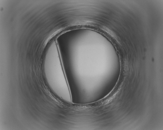 X0000062620826200512210910