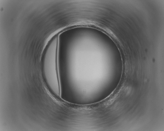 X0000062620838200512210910