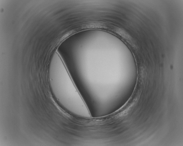 X0000062620841200512210910
