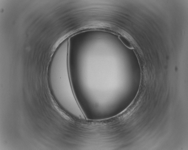 X0000062620842200512210910