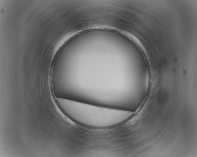 X0000062620847200512210910
