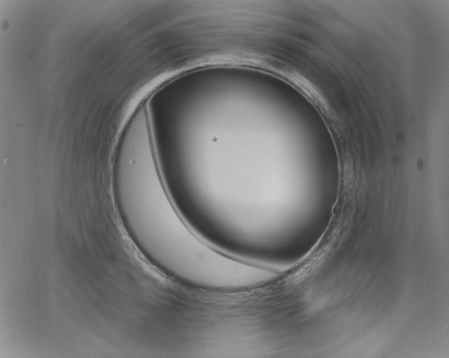X0000062620854200512210910