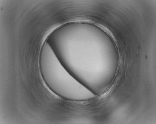 X0000062620855200512210910