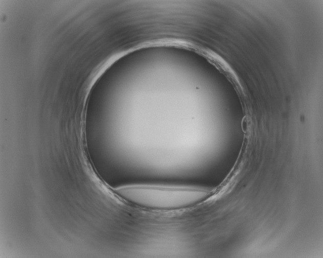 X0000062620860200512210910