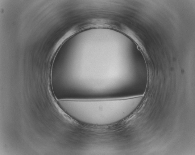 X0000062620861200512210910