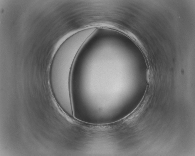 X0000062620862200512210910