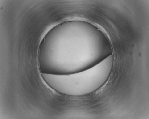 X0000062620863200512210910